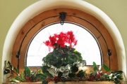 Riding Stable Christmas window