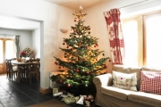 Wash House Christmas tree